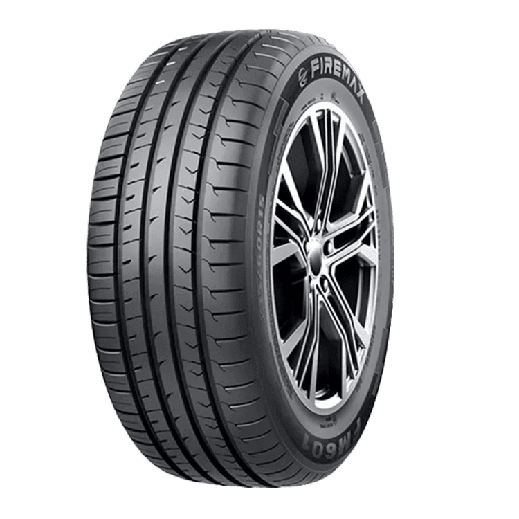 FIREMAX FM601 padanga, dydis 195/65R15