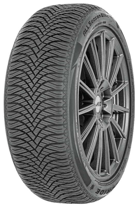 FORCELAND ELITE AS-4 padanga, dydis 205/60R16